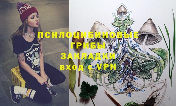 твердый Алексеевка